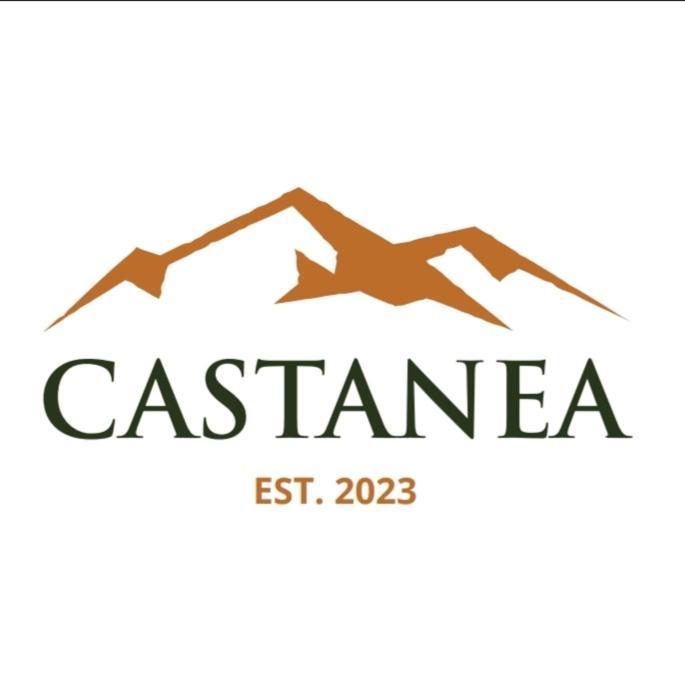 Vikendica Castanea Banja Zdrelo Villa Petrovac na Mlavi Eksteriør billede